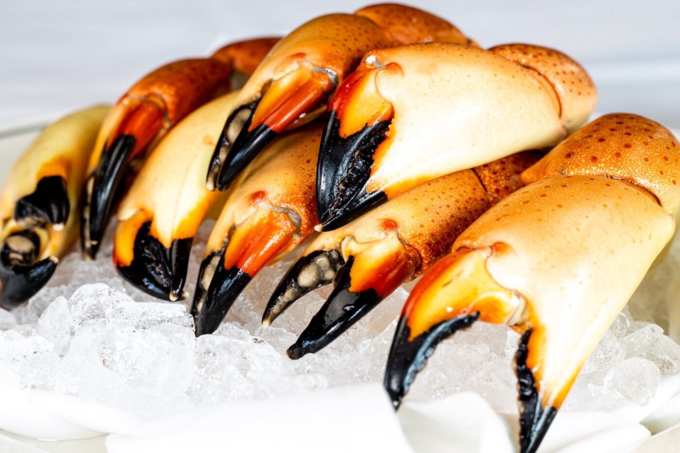 Best Crab Claws in Miami Living Loving Miami